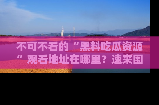 不可不看的“黑料吃瓜资源”观看地址在哪里？速来围观吧！