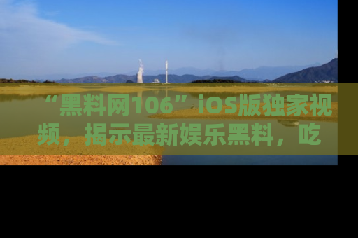 “黑料网106”iOS版独家视频，揭示最新娱乐黑料，吃瓜不停！