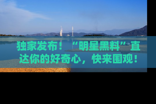 独家发布！“明星黑料”直达你的好奇心，快来围观！