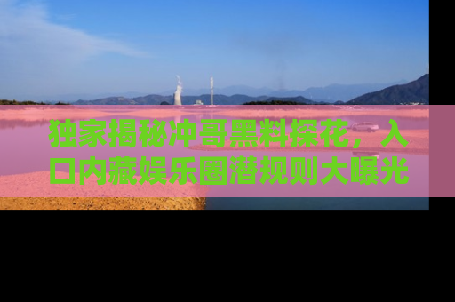 独家揭秘冲哥黑料探花，入口内藏娱乐圈潜规则大曝光