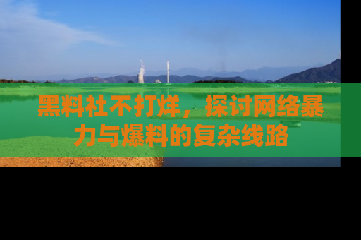 黑料社不打烊，探讨网络暴力与爆料的复杂线路