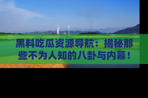 黑料吃瓜资源导航：揭秘那些不为人知的八卦与内幕！