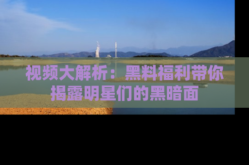 视频大解析：黑料福利带你揭露明星们的黑暗面