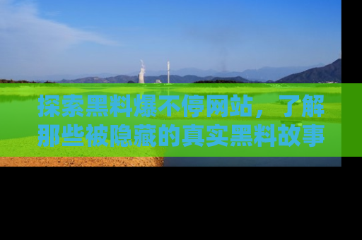 探索黑料爆不停网站，了解那些被隐藏的真实黑料故事