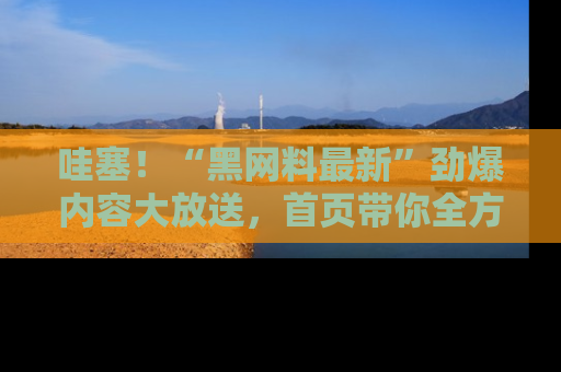 哇塞!“黑网料最新”劲爆内容大放送,首页带你全方位了解哦,小可爱们