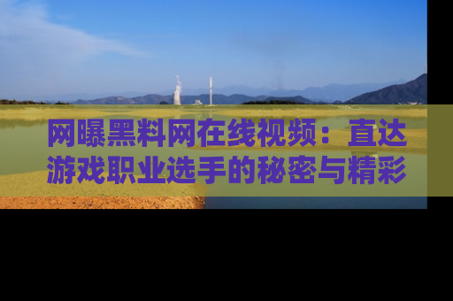 网曝黑料网在线视频：直达游戏职业选手的秘密与精彩动漫片段！
